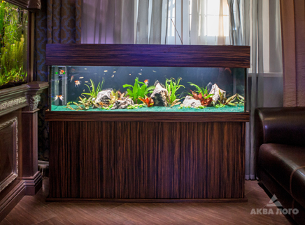 Aquarium_APR_Iroshnikov400_l.jpg