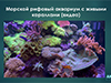 Лекция, посвященная обитателям аквариумов в рамках фестиваля «Лето в Москве» Лекция, посвященная обитателям аквариумов в рамках фестиваля «Лето в Москве»