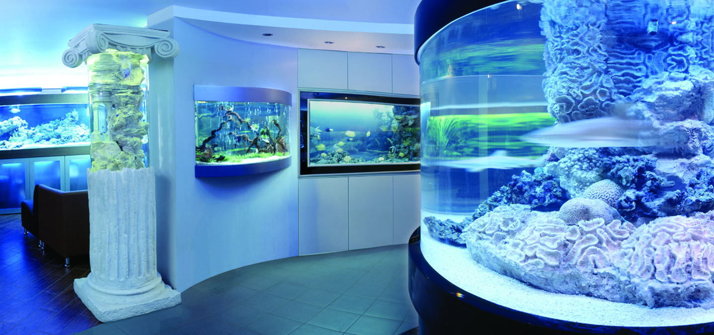 Фото аквариумного салона Аква Лого на Ленинском 1998 - 2012