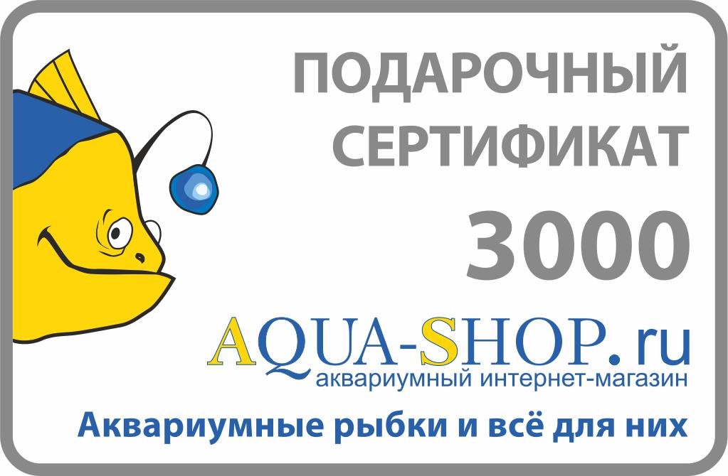 Aqua shop