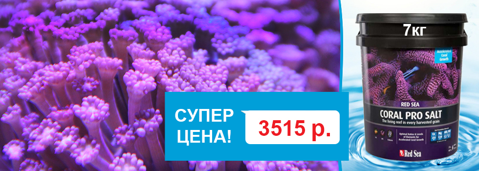 Соль для морских аквариумов Red Sea из Израиля снова в продаже и по специальной цене!