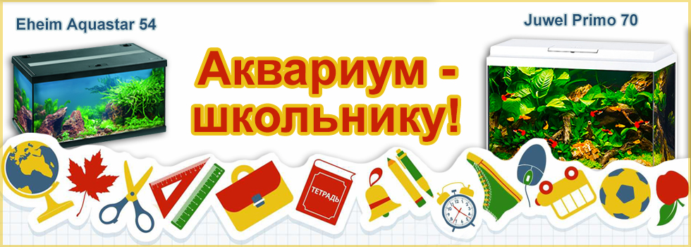 Аквариум - лучший подарок к новому учебному году. Подарите ребенку собственный подводный мир