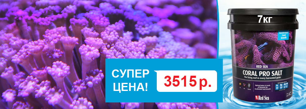Соль для морских аквариумов Red Sea из Израиля снова в продаже и по специальной цене!